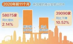 增長！增長！疫情背景下新加坡公司新注冊數(shù)量逆勢增長！