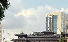 新加坡公司董事和股東為同一人有什么要求