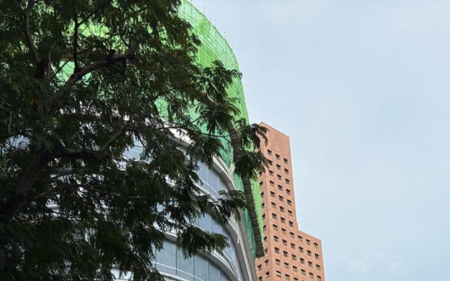 馬來西亞擔任公司董事的條件全解析