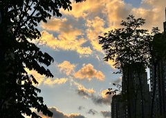 澳大利亞公司注冊(cè)申請(qǐng)?zhí)峤缓螅畔⑦€能修改嗎?