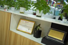 巴西公司注冊資本實繳指南：規(guī)則、操作與風險防控