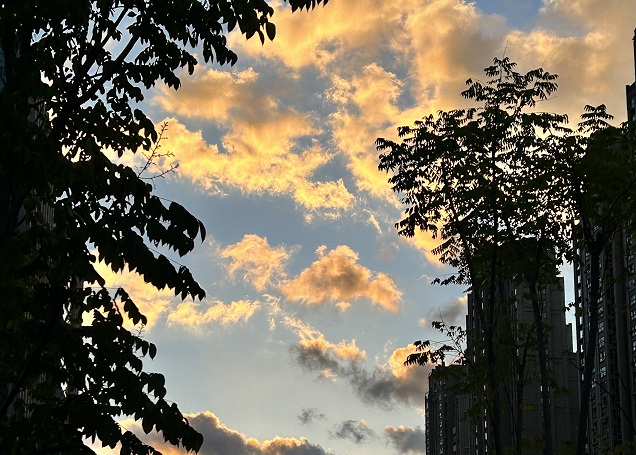 注冊(cè)愛爾蘭公司注冊(cè)資金全解析